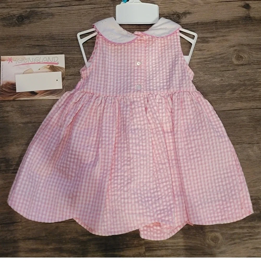 Youngland Baby Girls Pink Gingham Heart Scalloped Dress 18M NWT 327P59645